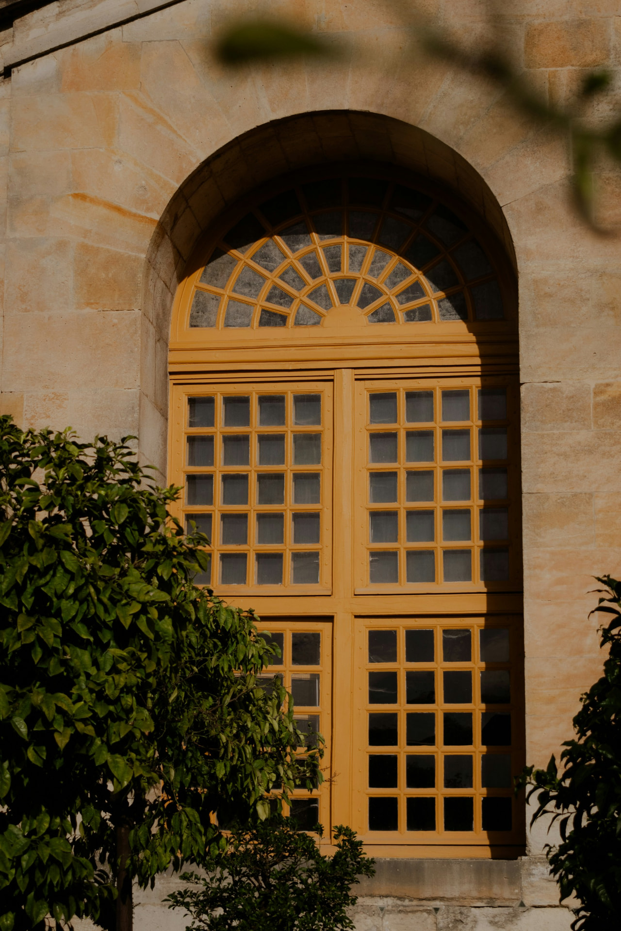 Tall arched window divided into many small square panes